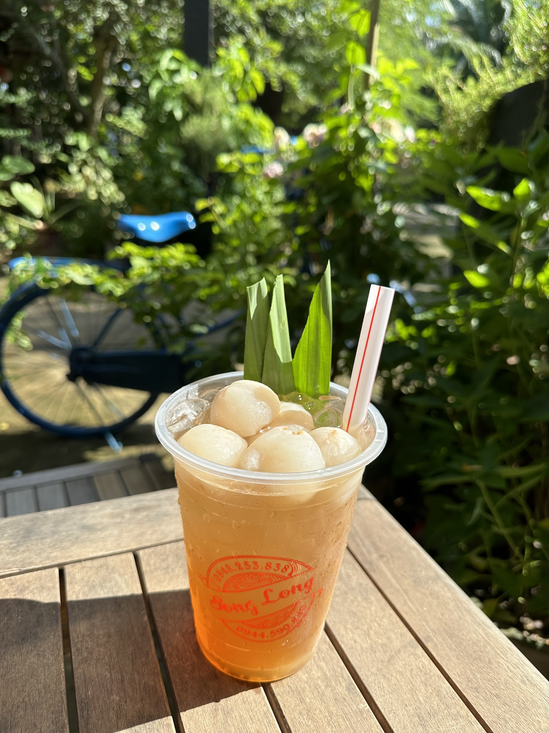 Song Long Eco Park - hình 3